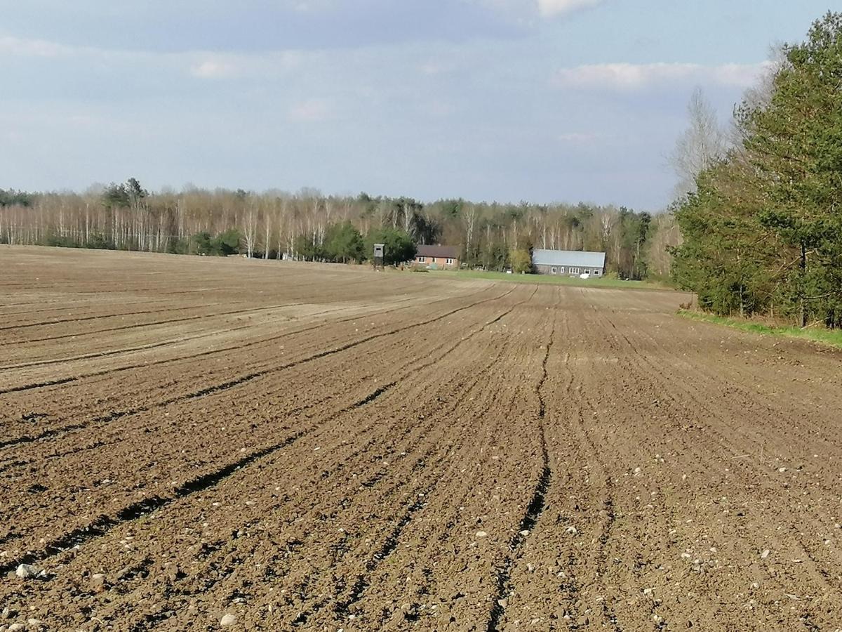 Agroturystyka Pod Dobrymi Skrzydlami Wiski Eksteriør bilde